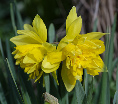 DSC_7414_DxO.jpg