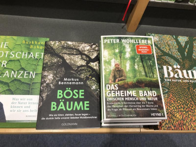 01_Bücher_Bäume.jpeg