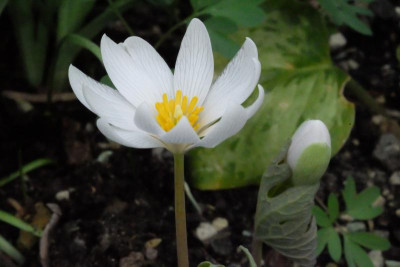 DSCF7761.JPG