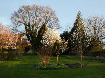 tg_230330.jpg