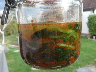 Bärlauch-Kimchi.jpg