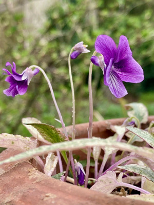 image1-2.jpeg