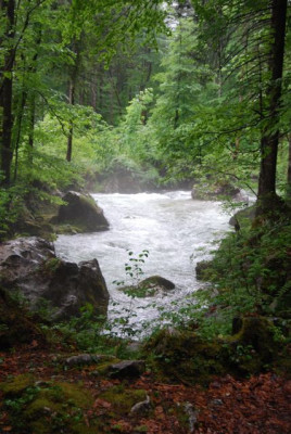 Bluntautal_Mai_08.jpg