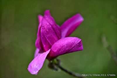 _DSC5521-01.jpeg