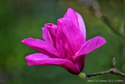 _DSC5516-02.jpeg