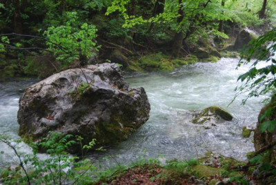 Bluntautal_Mai_08_-_2.jpg