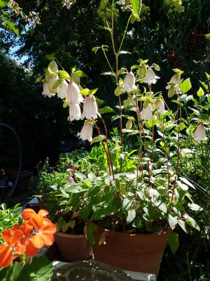 20190621_102609.jpg