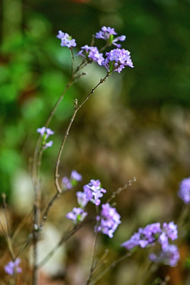 _DSC5546-01.jpeg