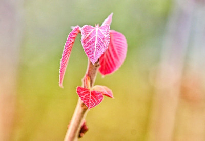 _DSC5541-01.jpeg