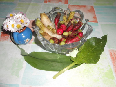 DSCN5732.JPG