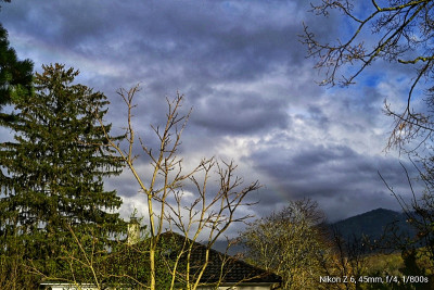 _DSC5549-01.jpeg