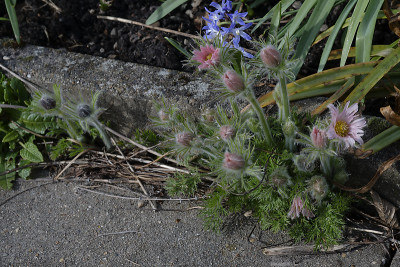 DSC_7437_DxO.jpg