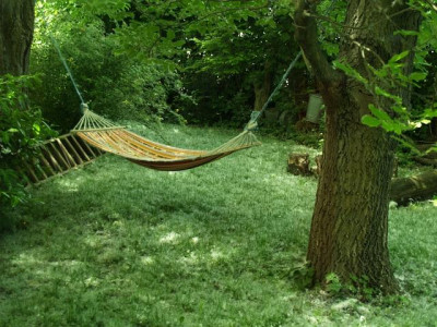 mittelalter_nussbaum_2008-05.jpg