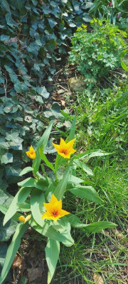 20230406_121057.jpg