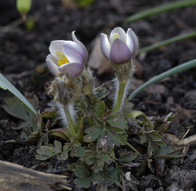 DSC_7434_DxO.jpg