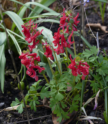 DSC_7409_DxO.jpg