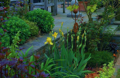 Iris_Ola_Kala_1_24-05-2008.jpg