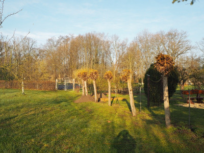 Weiden 10.4.23 ue.JPG