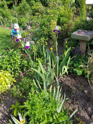 20170525_175138.jpg