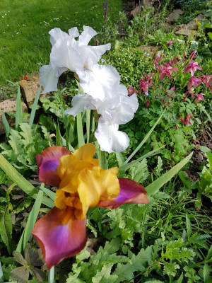 20170525_175209.jpg