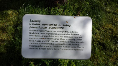 spilling 001.jpg