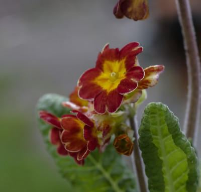 DSC_7486_DxO.jpg
