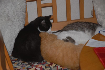 DSC_7077.JPG