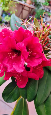 Screenshot_20230414_212147_Files by Google.jpg