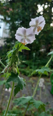 20220519_055111.jpg