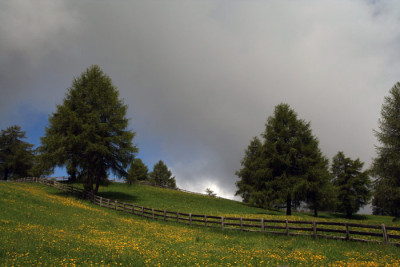 Langfenn-2.jpg