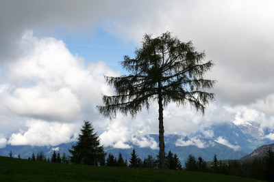 Langfenn-3.jpg