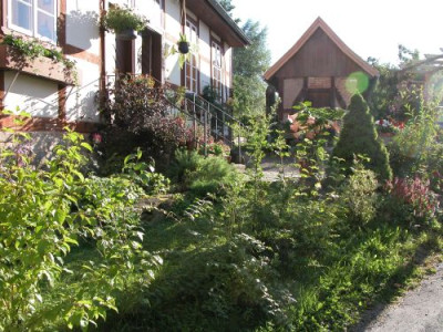 20120801_2620.JPG