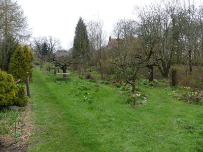 2023-04-16 Garteneinblick 2.jpg