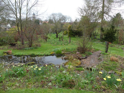 2023-04-16 Garteneinblick 6.jpg