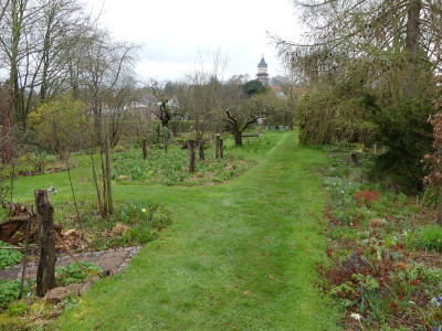 2023-04-16 Garteneinblick 8.jpg