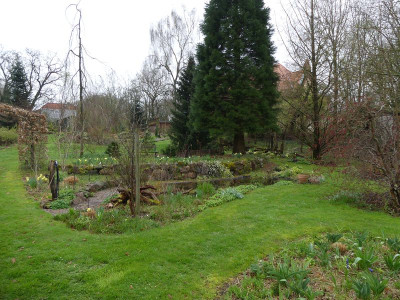 2023-04-16 Garteneinblick 9.jpg