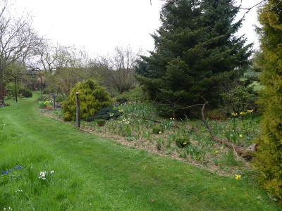 2023-04-16 Garteneinblick 13.jpg