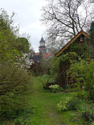 2023-04-16 Garteneinblick 16.jpg