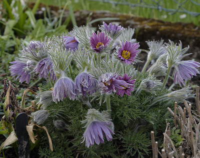 DSC_7494_DxO.jpg