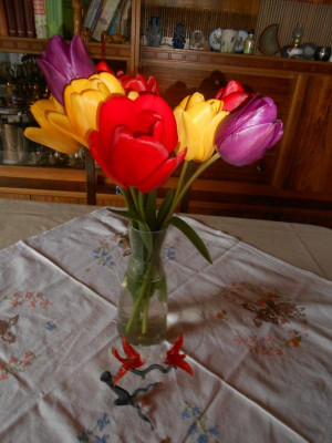 DSCN5781.JPG