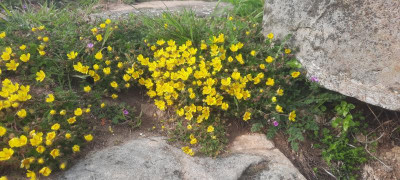 20230419_173245.jpg