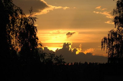 Abendsonne_1_25-05-2008.jpg