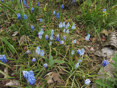 IMG_9391_Mix_mit_Valerie_Finnis_18April23_.jpg