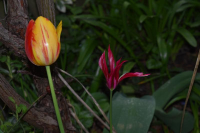 DSC_0263.JPG