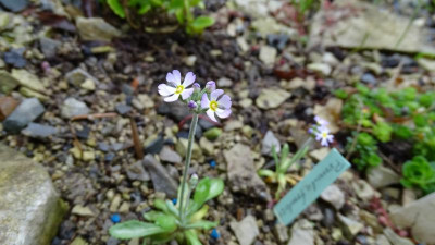 DSC01774.JPG