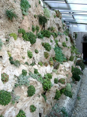 10230019_eAlpinum.JPG