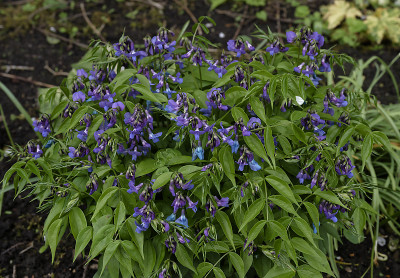 DSC_7499_DxO.jpg