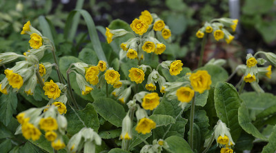 DSC_7498_DxO.jpg