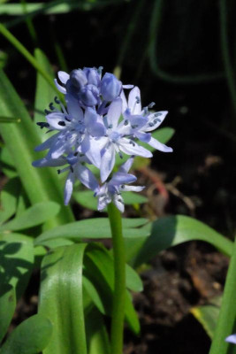 DSCF7836.JPG