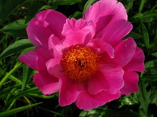 IMG_6340.JPG